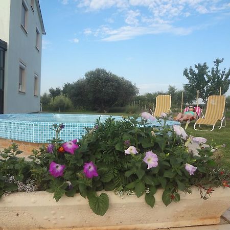 Apartments Zdravac Umag Zewnętrze zdjęcie